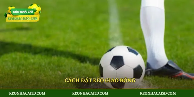 Kèo Giao Bóng - Giải Mã Kèo Thơm Cho Tân Thủ Lần Đầu Cược 3 Cách đặt kèo giao bóng