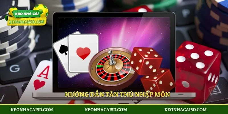 Hướng dẫn tân thủ nhập môn