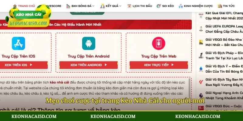 Mẹo chơi cược tại trang Kèo Nhà Cái cho người mới