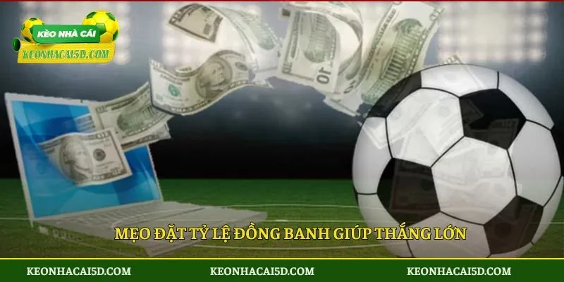 Mẹo đặt tỷ lệ đồng banh giúp thắng lớn