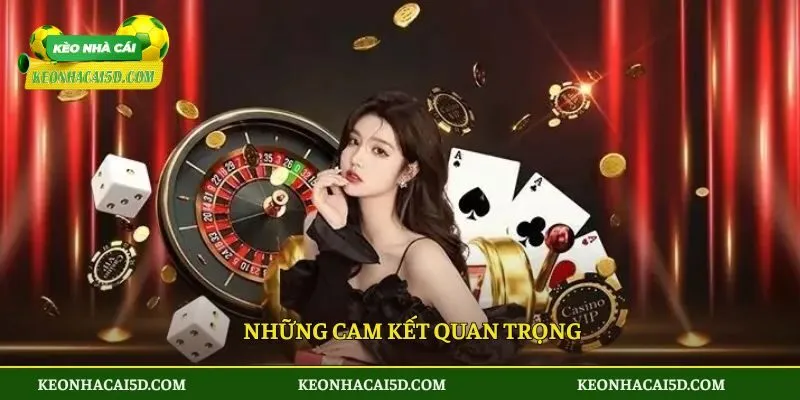 Những cam kết quan trọng