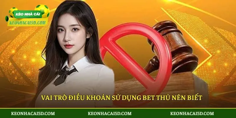 Điều Khoản Sử Dụng 1 Vai trò điều khoản sử dụng bet thủ nên biết